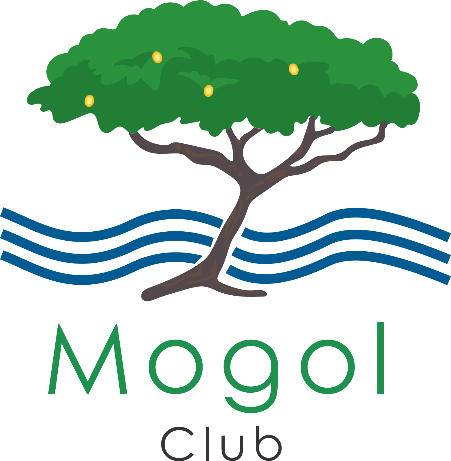 Mogol Club